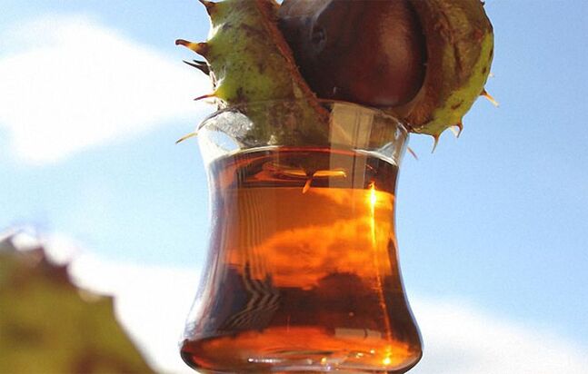 Tincture Chestnut Horse