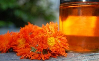 Decoctions for the treatment of varicose veins